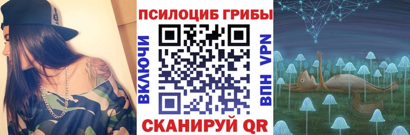 сколько стоит  Котельниково  Галлюциногенные грибы Cubensis 